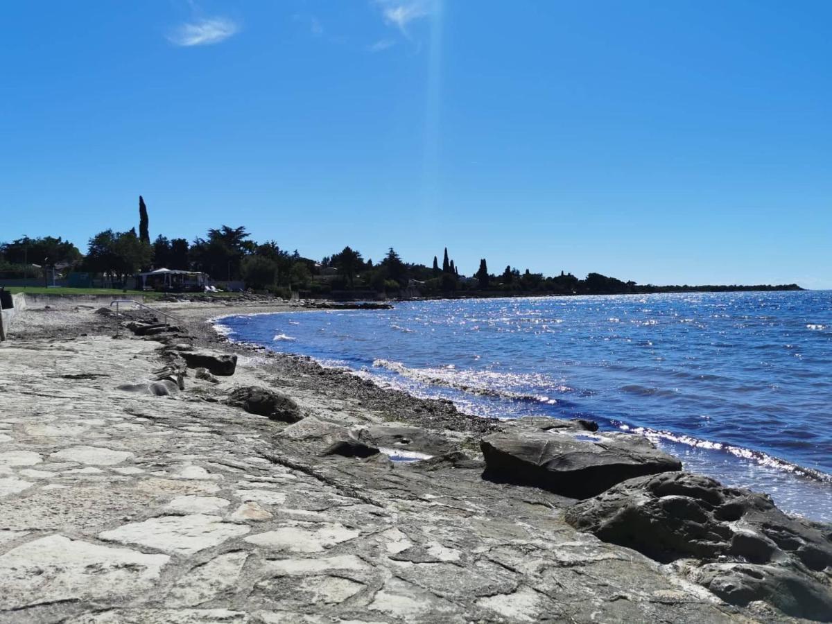 Novigrad IstriaApp Palcic K公寓 外观 照片