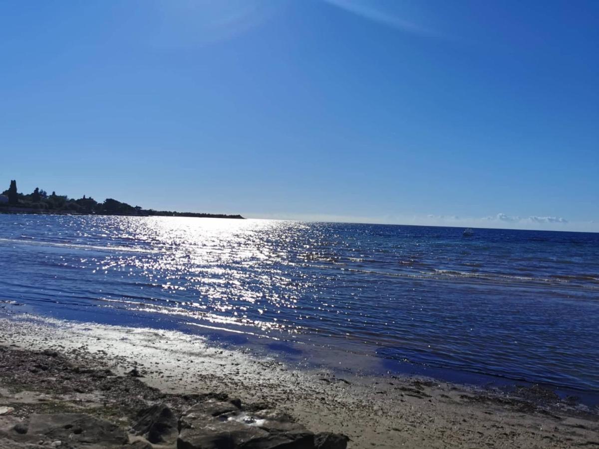 Novigrad IstriaApp Palcic K公寓 外观 照片