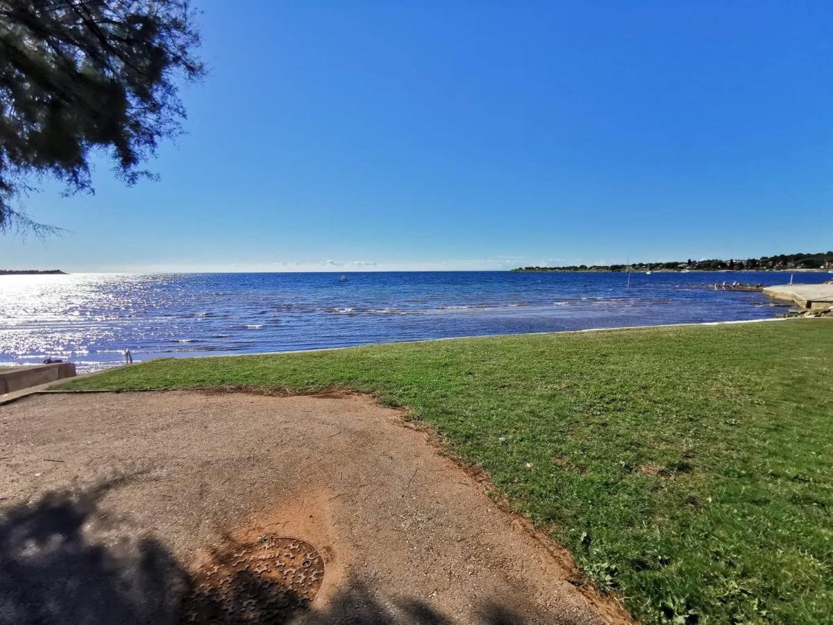Novigrad IstriaApp Palcic K公寓 外观 照片