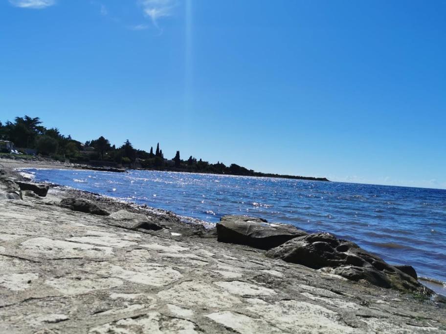 Novigrad IstriaApp Palcic K公寓 外观 照片
