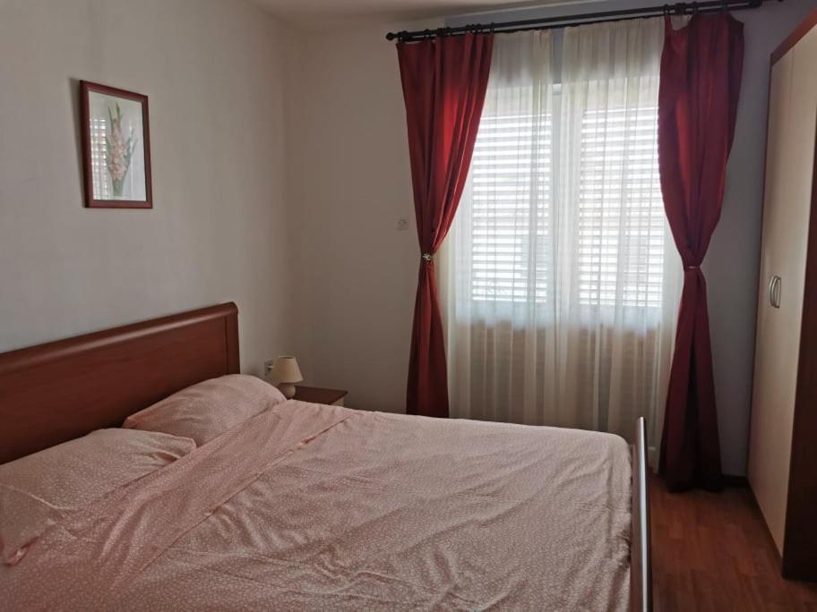 Novigrad IstriaApp Palcic K公寓 外观 照片