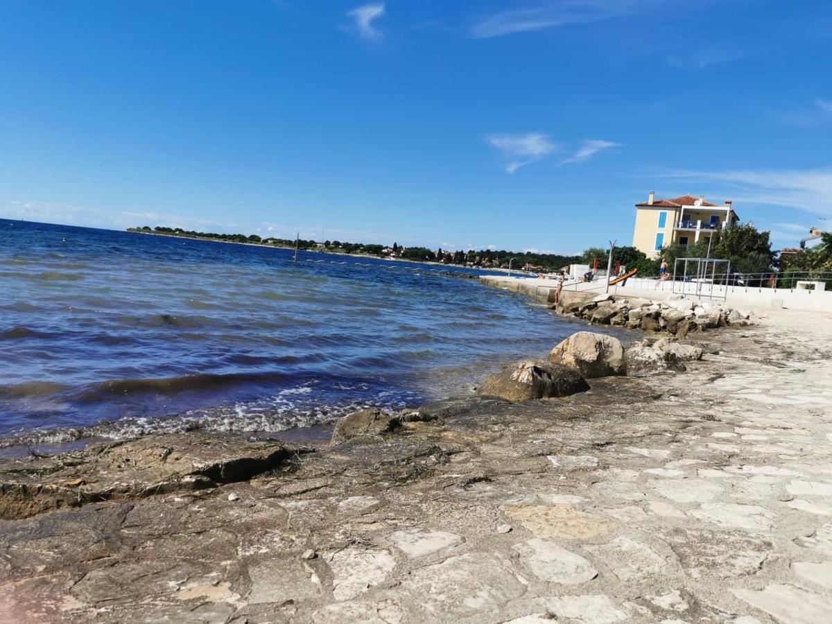 Novigrad IstriaApp Palcic K公寓 外观 照片