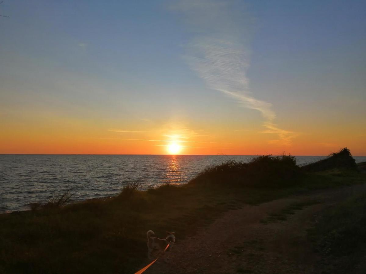 Novigrad IstriaApp Palcic K公寓 外观 照片