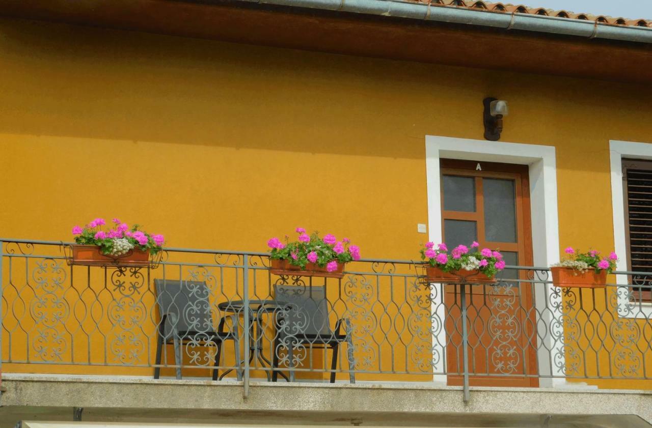 Novigrad IstriaApp Palcic K公寓 外观 照片